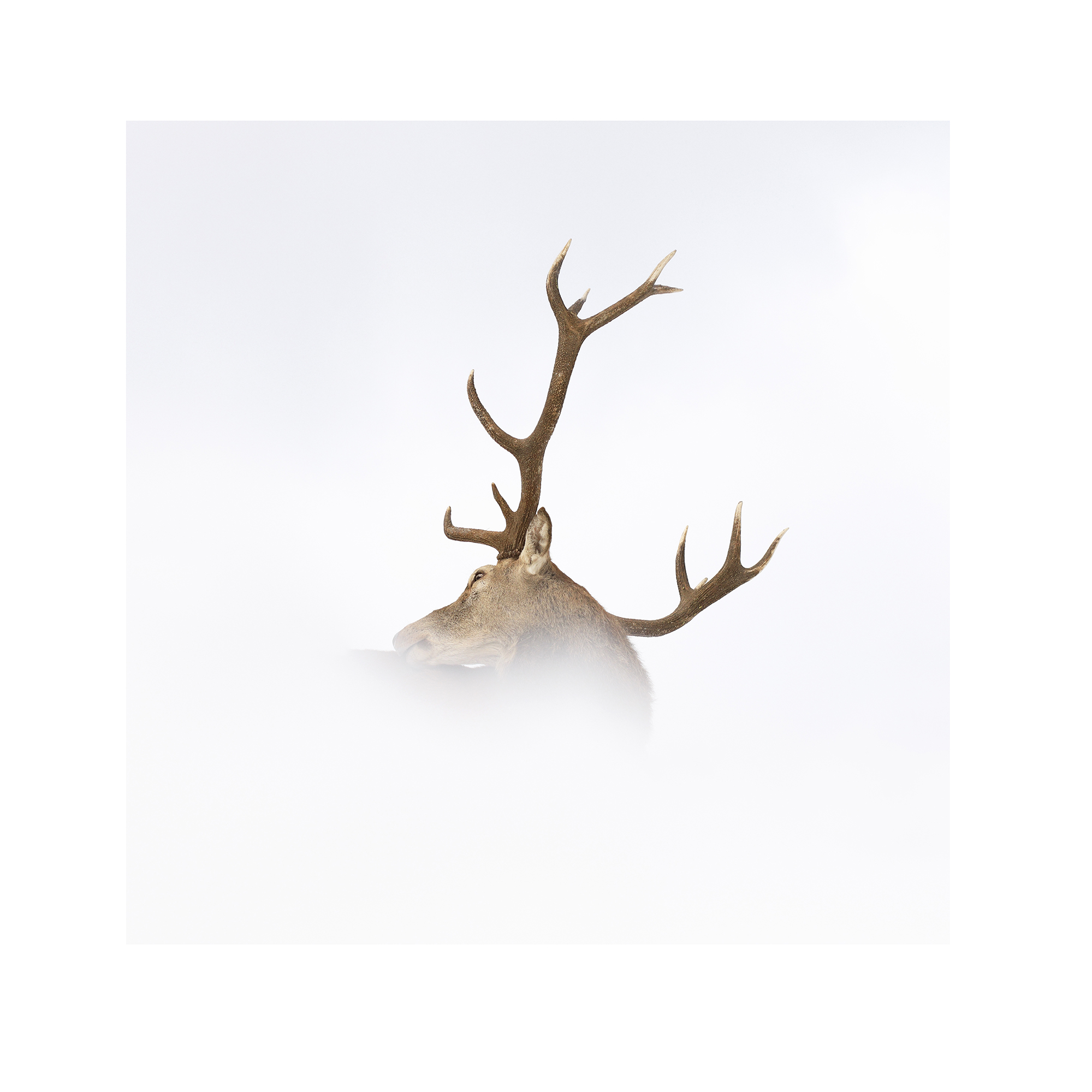 Jérémie Villet Photographe