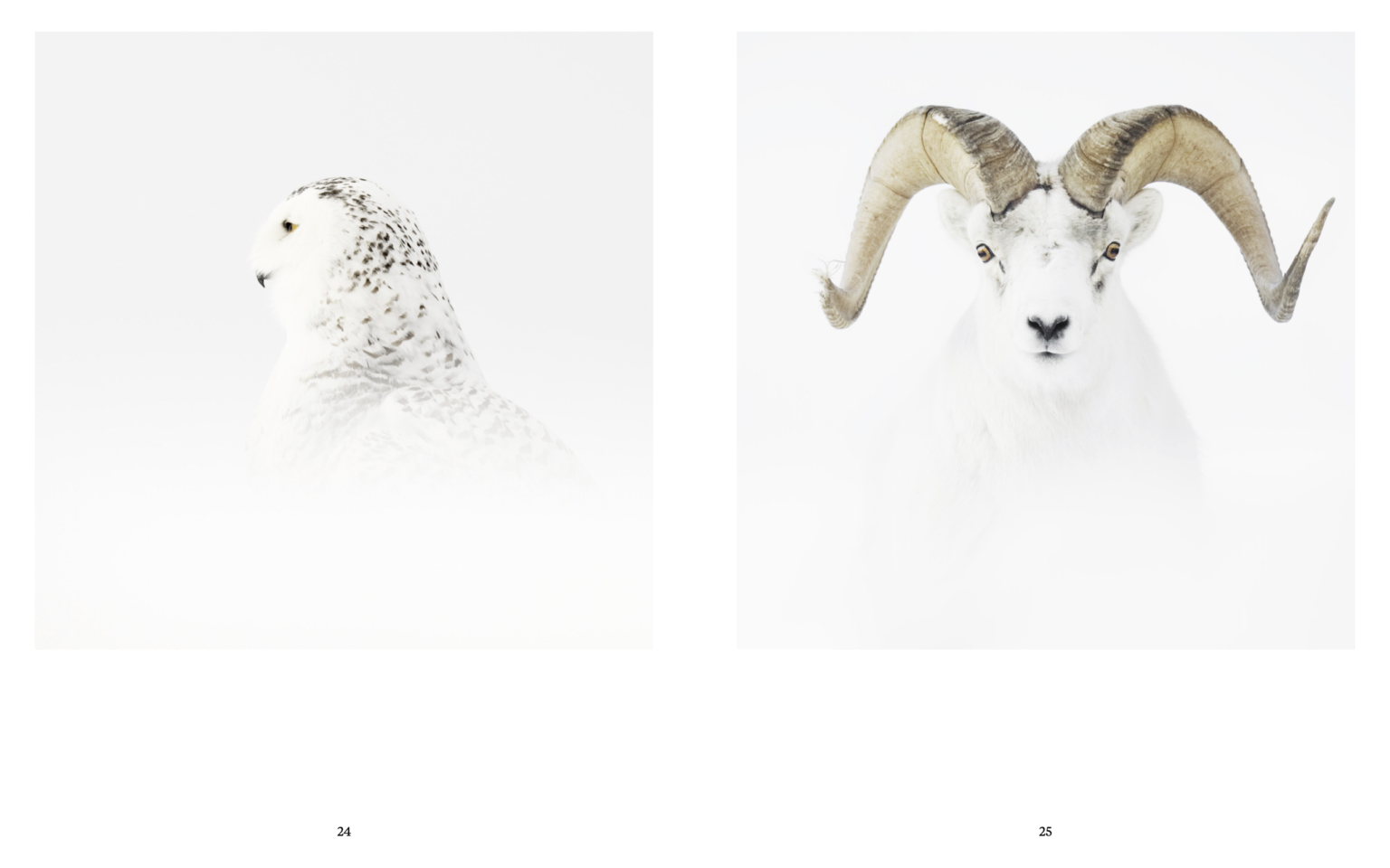 livre Jérémie Villet